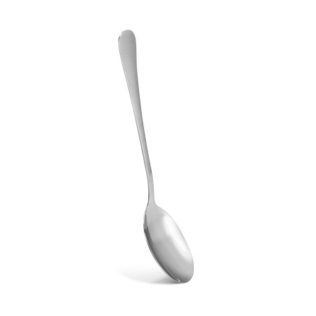 Serviravimo šaukštas FLAVIA 21 cm