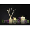 Kvapioji žvakė Cereria Molla Black Orchid & Lily 230 g