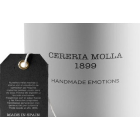 Namų kvapas Cereria Mollá Premium Reed Imbieras ir apelsinas 500 ml